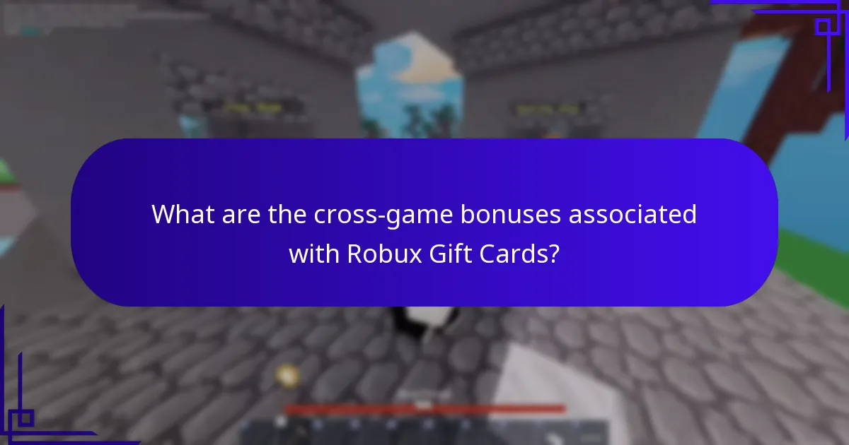 What are universal items in Roblox?